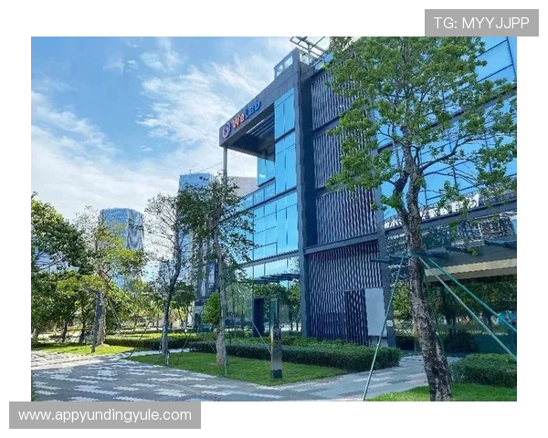 云顶投资有限公司在数字经济时代的投资机遇与风险控制策略