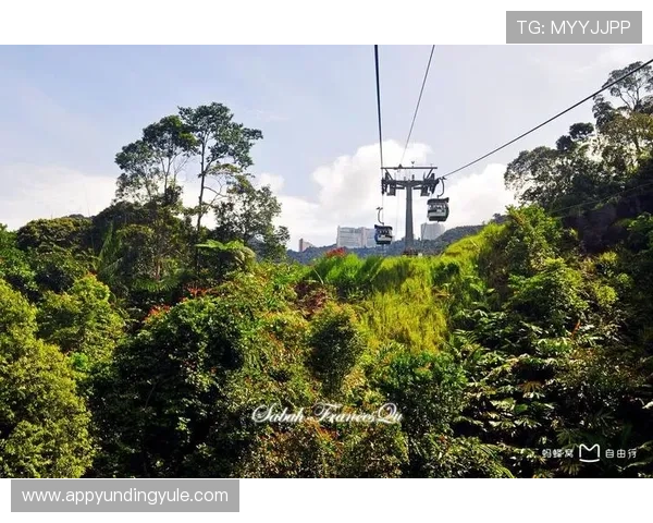 云顶马来西亚简介:全面了解云顶高原的历史背景与发展现状