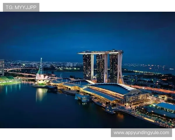 滨海湾金沙娱乐场：体验世界级赌场与豪华购物中心的精彩纷呈