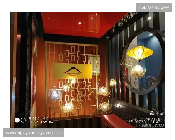 马来西亚云顶大赌场筹码的价值评估与投资潜力分析报告