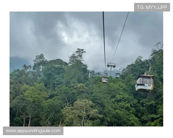 马来西亚云顶攻略：提升游戏技巧的实用方法与风险控制建议